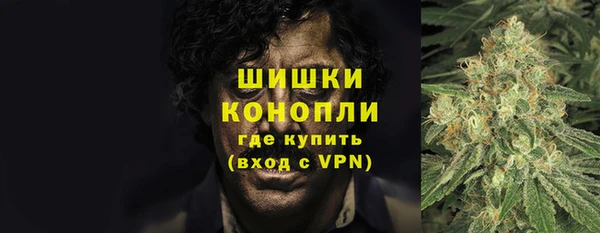 трава Каменка