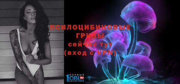 ешки Каменск-Шахтинский