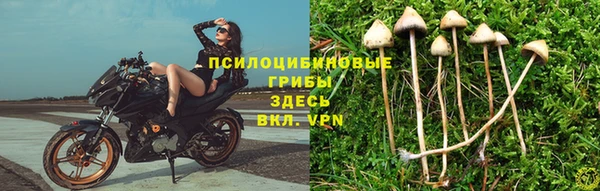 mdma Каменногорск